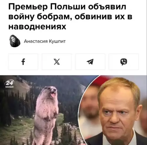 Смешная картинка №765084 Курва!