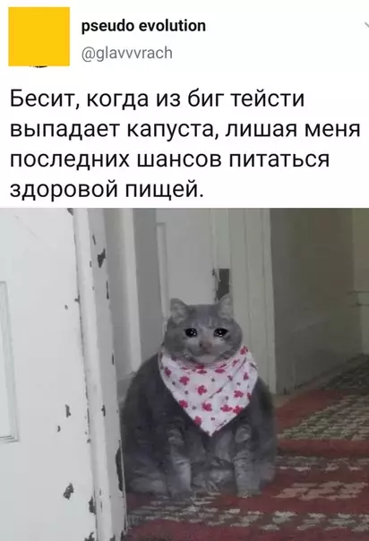 Смешная картинка №500231 Понимаю