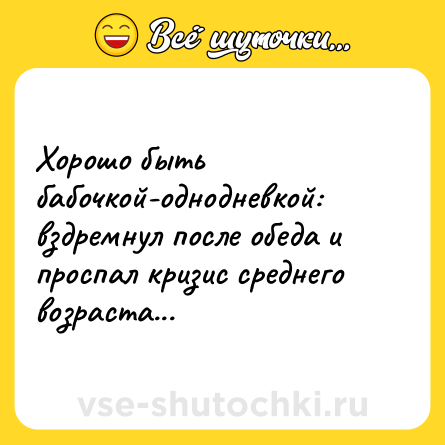 Шутка: Хорошо быть бабочкой-однодневкой: вздремнул после обеда и проспал кризис среднего возраста...
