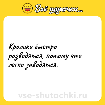 Шутка: Кролики быстро разводятся, потому что легко заводятся.