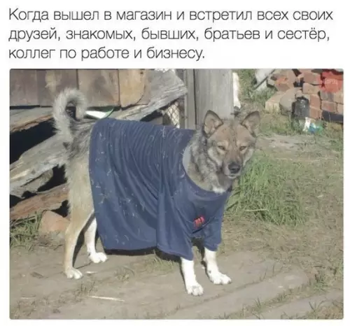 Смешная картинка №206504