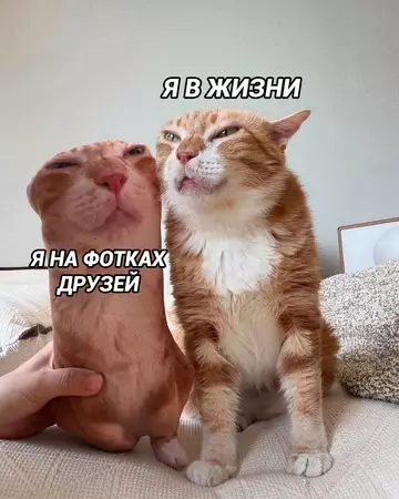 продолжение Смешная картинка №768147 Штош