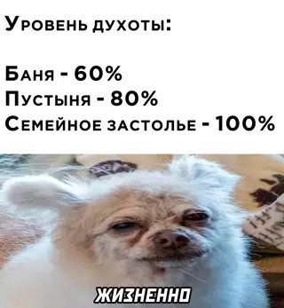 Смешная картинка №650745