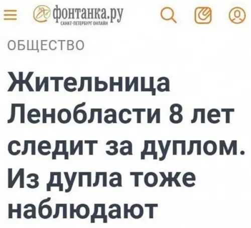 Забавное происшествие с дуплом
