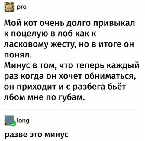 Смешная картинка №382081 Kaк милo.