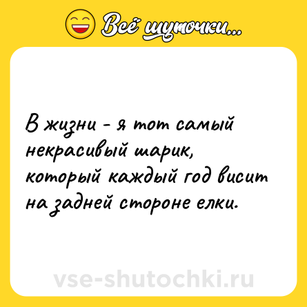 Шутка: В жизни - я тот самый некрасивый шарик, который каждый год висит на задней стороне елки.