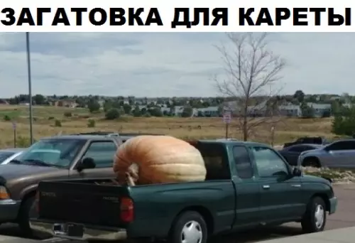 Смешная картинка №307104