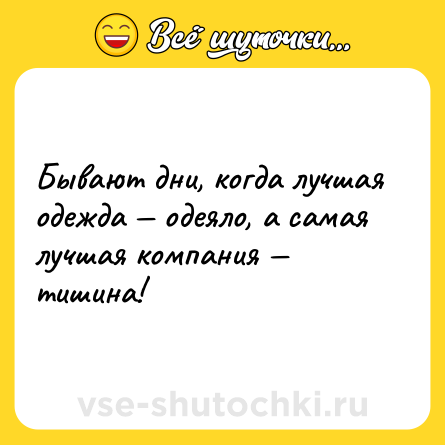 Шутка: Бывают дни, когда лучшая одежда — одеяло, а самая лучшая компания — тишина!