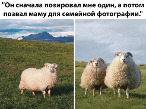 Смешная картинка №692534 животные
