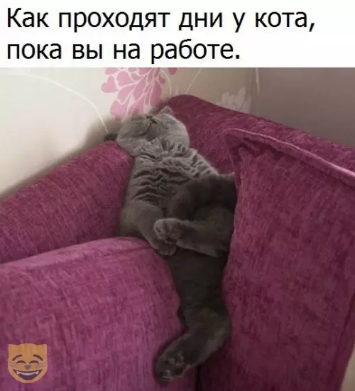 Смешная картинка №335334 #приколы #картинки #мемы ?