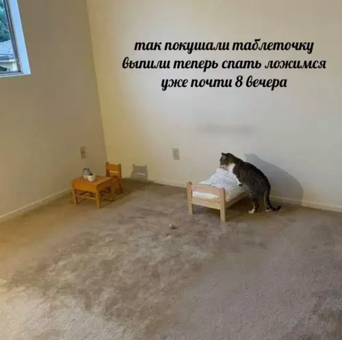 Смешная картинка №773019