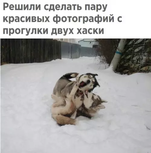 Смешная картинка №233012