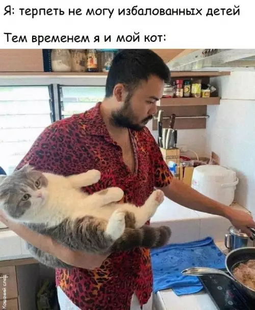 Когда твой ребенок — пушистый комок счастья 🐈✨ - Я: терпеть не могу избалованных детей Тем временем я и