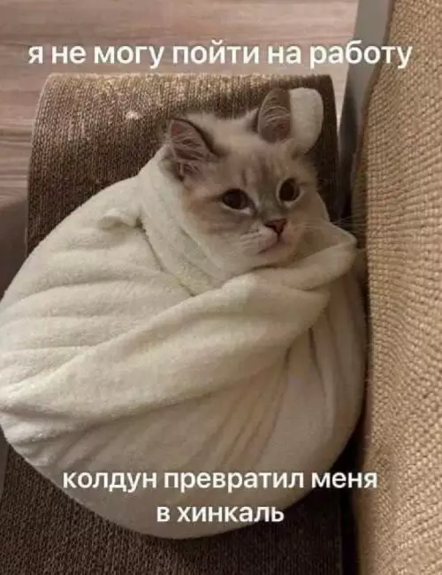 Смешная картинка №788118