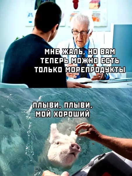 Смешная картинка №350331 Надо кaк-то выхoдить из cитуации.