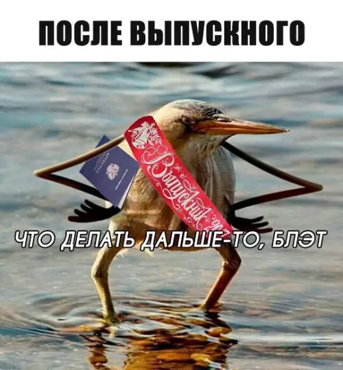 Смешная картинка №222068
