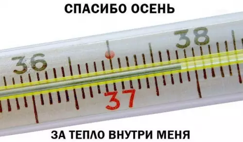 Смешная картинка №209920
