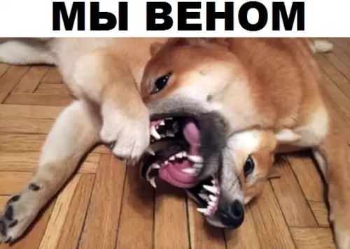 Смешная картинка №315191