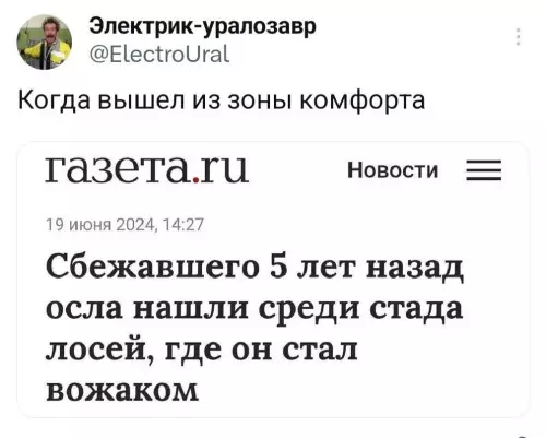 Смешная картинка №784633