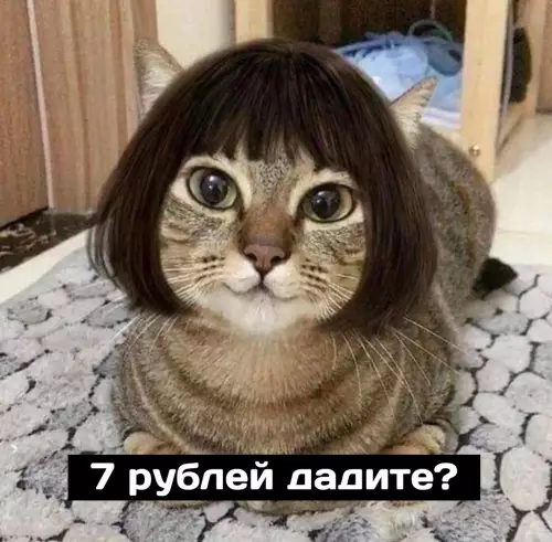 продолжение Смешная картинка №685958