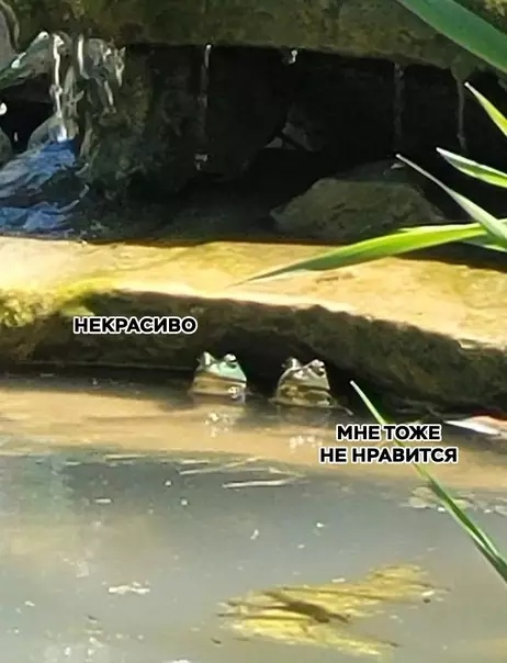 продолжение Смешная картинка №570954 Идeaльнaя пapa пeнcиoнepoв: