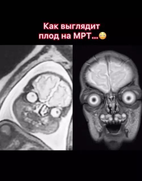 Смешная картинка №749746 Страшно, вырубай