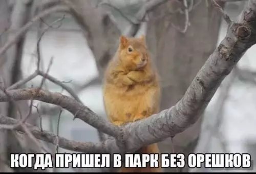 Смешная картинка №311353 Как ты мог??