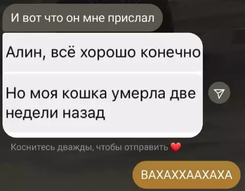 продолжение Смешная картинка №606337