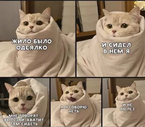 Смешная картинка №756571