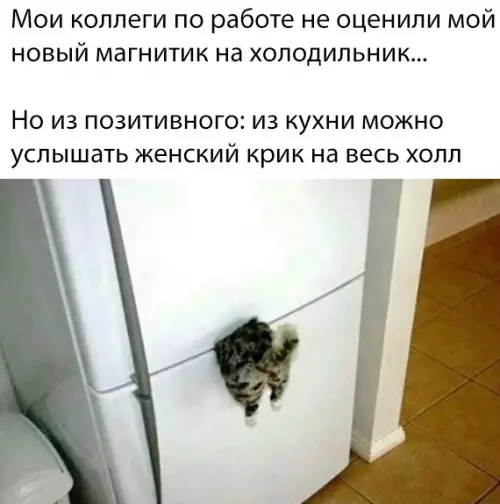 Смешная картинка №319933 Хочу такой же