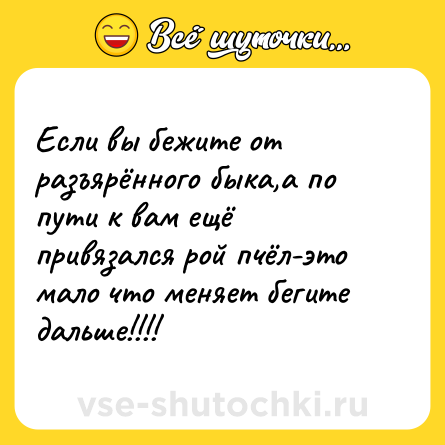 Шутка: Если вы бежите от разъярённого быка,а по пути к вам ещё привязался рой пчёл-это мало что меняет бегите дальше!!!!