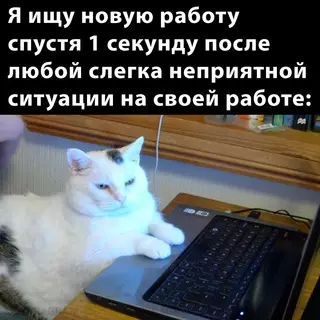 Смешная картинка №677409