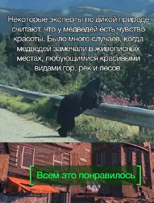 Смешная картинка №668736