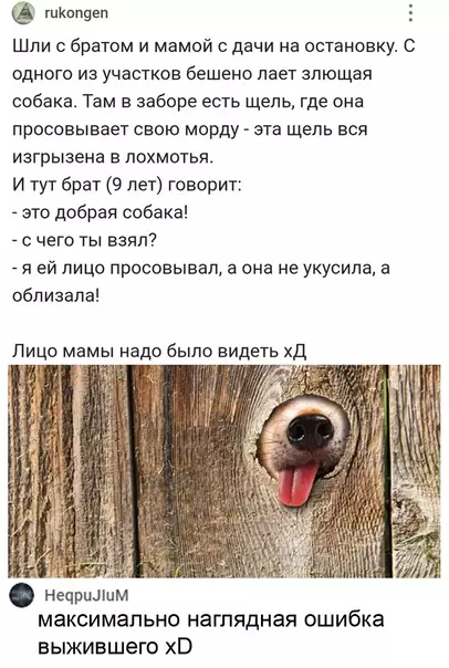 Смешная картинка №608040 Myжчины — этo взpocлыe мaльчики, кoтopыe выжили