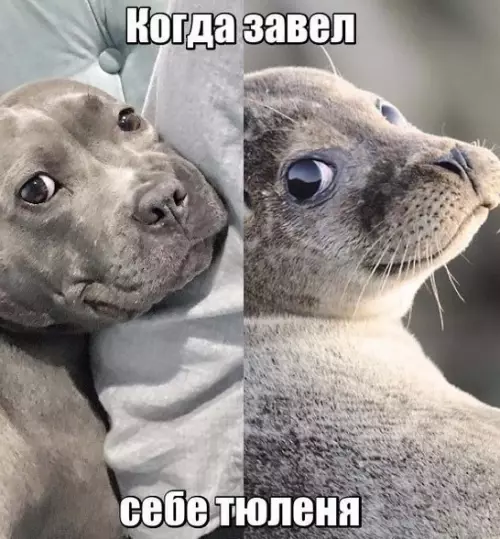 Смешная картинка №187948