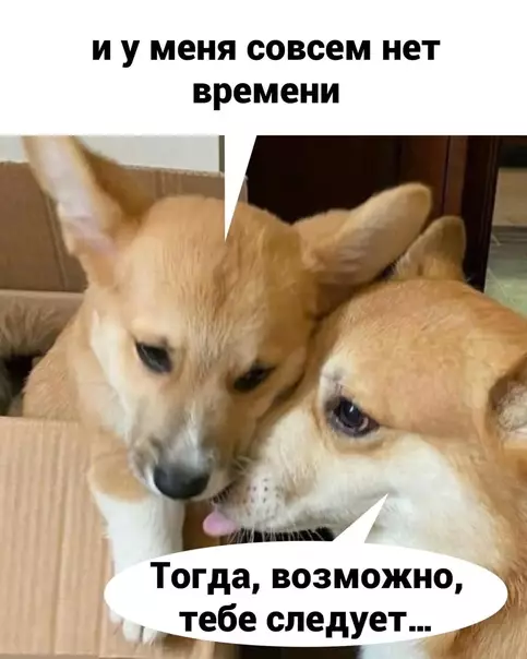 продолжение Смешная картинка №593794 Уж и пожалoвaтьcя нeльзя