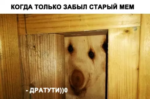 Смешная картинка №285038