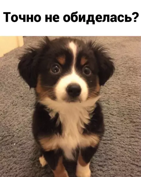 Смешная картинка №537944