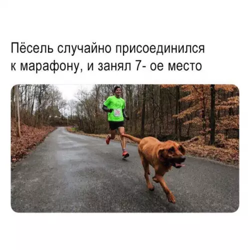 Смешная картинка №414369 Спортивный мальчик.
