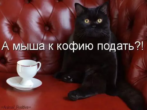 Смешная картинка №173588