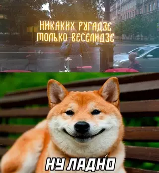 Смешная картинка №686577