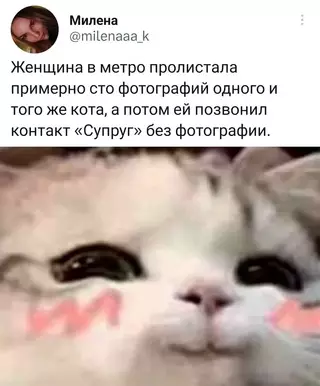 Смешная картинка №680593