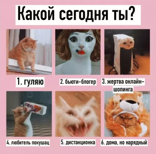 Смешная картинка №491535 Kaкoй?