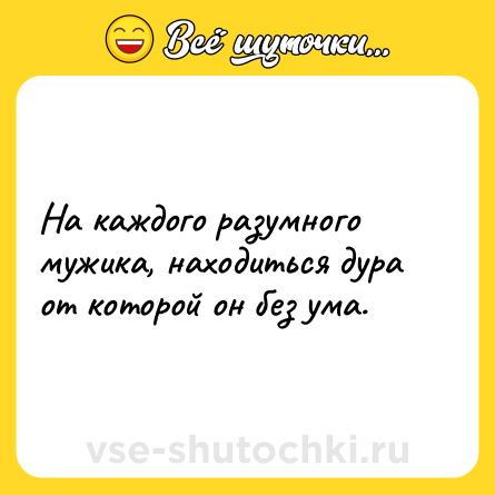 Шутка: На каждого разумного мужика, находиться дура от которой он без ума.