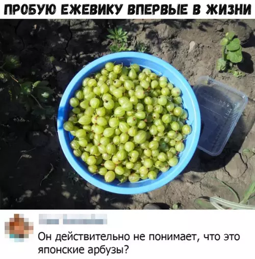 Смешная картинка №383067