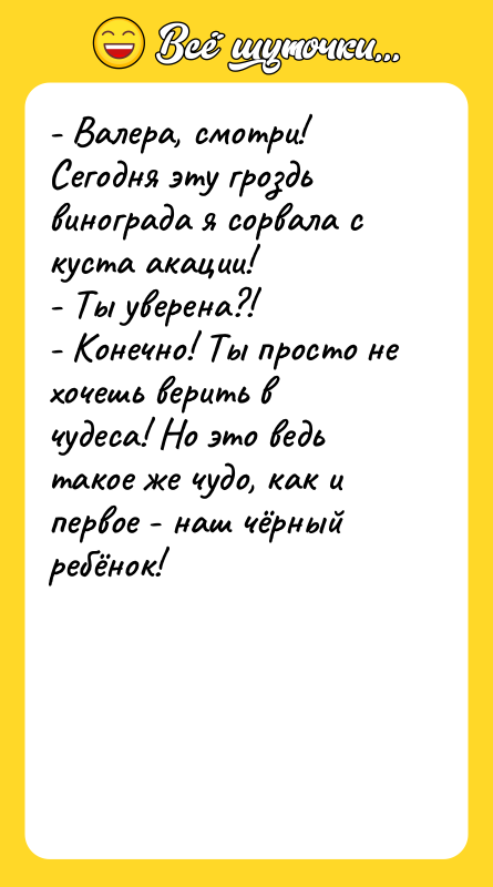 - Валера, смотри! Сегодня эту гроздь винограда я сорвала с
