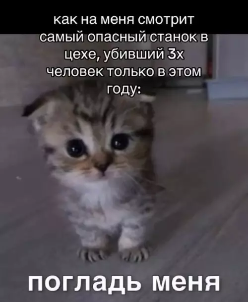 Опасный зверь требует ласки 😼 - как на меня смотрит самый опасный станок в цехе, убивший