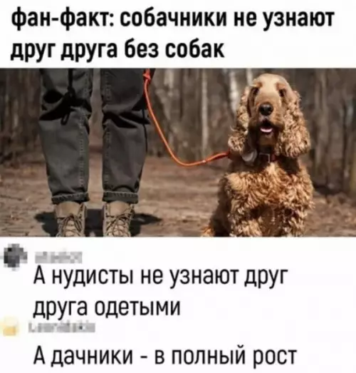 Смешная картинка №650828