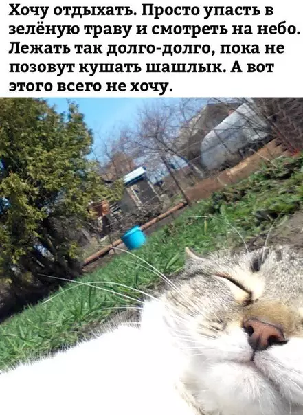 Смешная картинка №179159