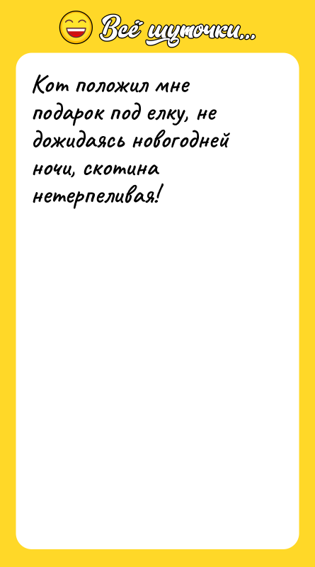 Кот положил мне подарок под елку, не дожидаясь новогодней ночи,